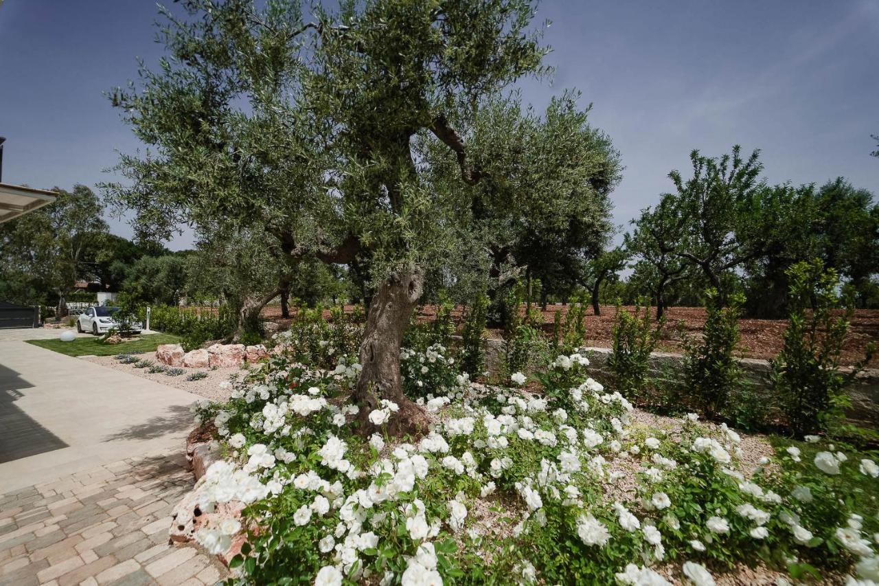Bed and Breakfast Almasol - Charme Experience Castellana Grotte Exterior foto